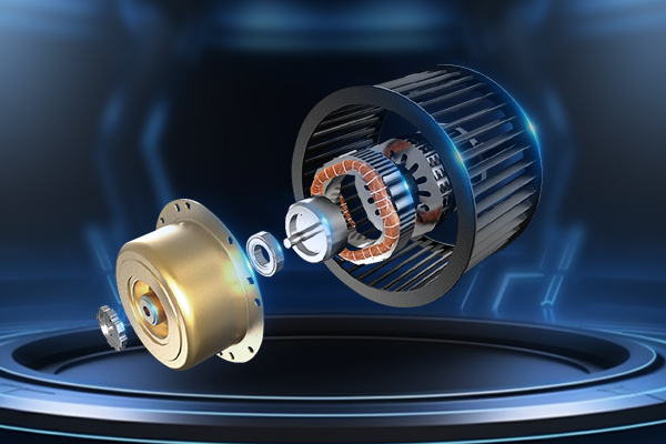 Motor